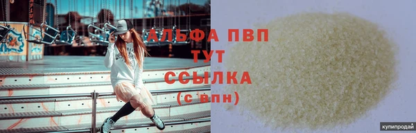 стаф Богородицк