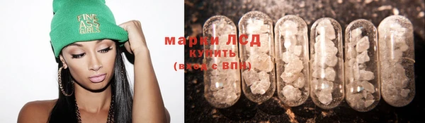 трава Тавда
