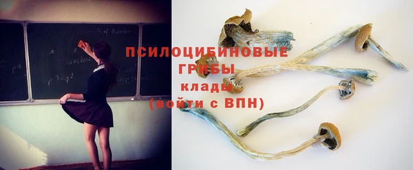 стаф Богородск