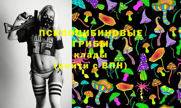 стаф Богородицк
