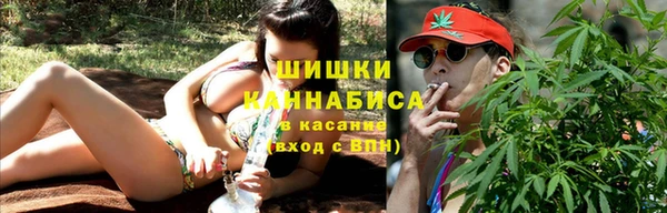 стаф Богородск