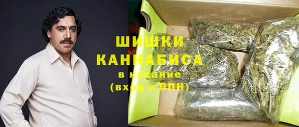 стаф Богородицк