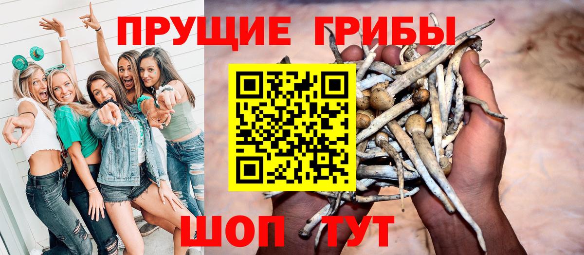 Галлюциногенные грибы Psilocybe Верхняя Пышма