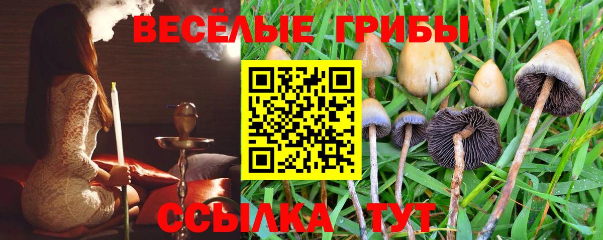 Верхняя Пышма  Галлюциногенные грибы Psilocybine cubensis  Вход с VPN 