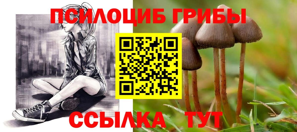 Галлюциногенные грибы Psilocybe  Вход с VPN  Верхняя Пышма 